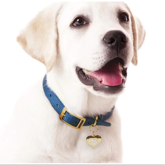 🍎 3/$10 🐶 Pet Tags - Picture 9 of 9